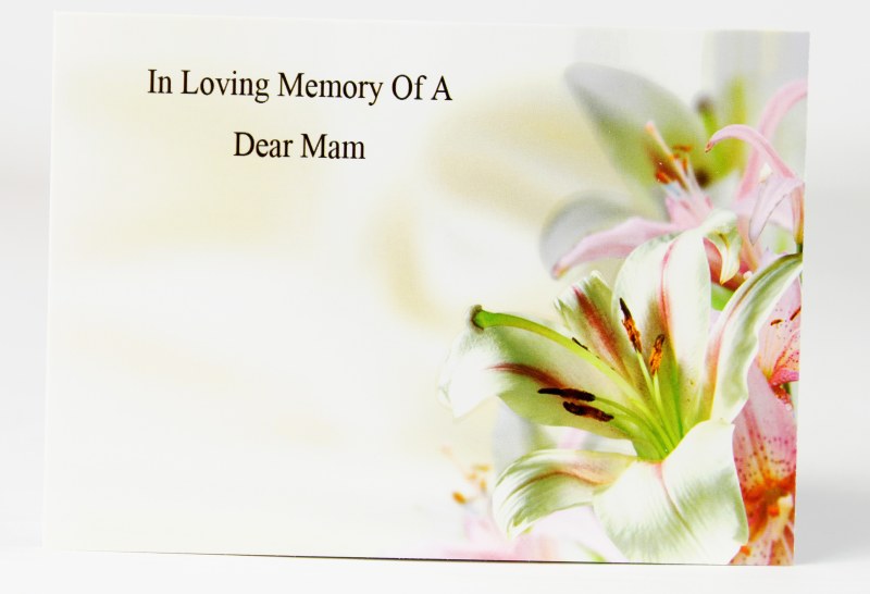 Picture of CARDS X50 ILM MAM LILY